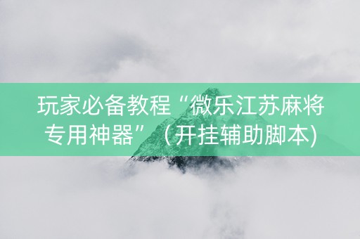 玩家必备教程“微乐江苏麻将专用神器”（开挂辅助脚本)