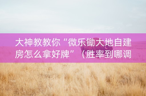 大神教教你“微乐锄大地自建房怎么拿好牌”（胜率到哪调)