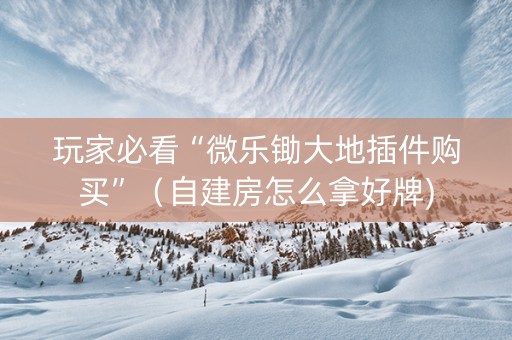 玩家必看“微乐锄大地插件购买”（自建房怎么拿好牌)