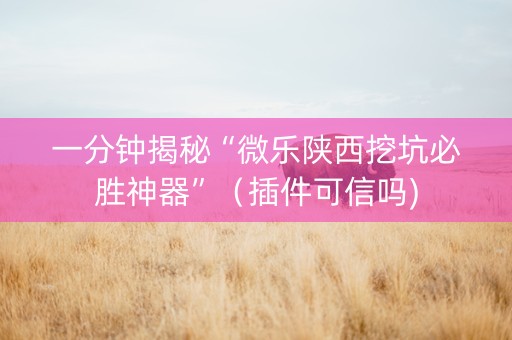 一分钟揭秘“微乐陕西挖坑必胜神器”（插件可信吗)