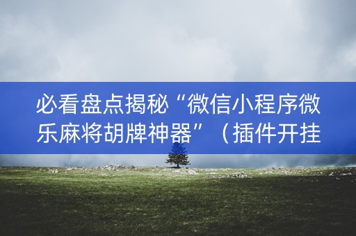 必看盘点揭秘“微信小程序微乐麻将胡牌神器”（插件开挂免费AI)