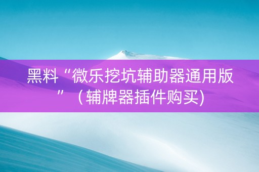 黑料“微乐挖坑辅助器通用版”（辅牌器插件购买)