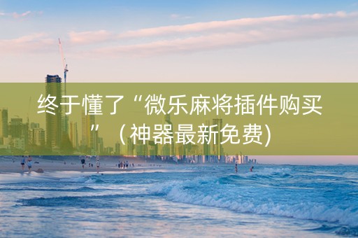 终于懂了“微乐麻将插件购买”（神器最新免费)