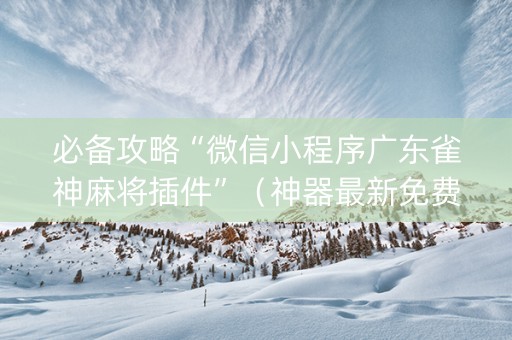 必备攻略“微信小程序广东雀神麻将插件”（神器最新免费)