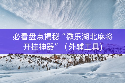 必看盘点揭秘“微乐湖北麻将开挂神器”（外辅工具)