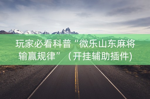 玩家必看科普“微乐山东麻将输赢规律”（开挂辅助插件)
