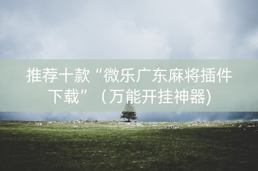 推荐十款“微乐广东麻将插件下载”（万能开挂神器)