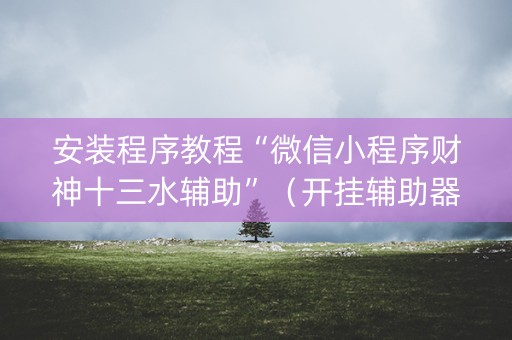 安装程序教程“微信小程序财神十三水辅助”（开挂辅助器脚本)