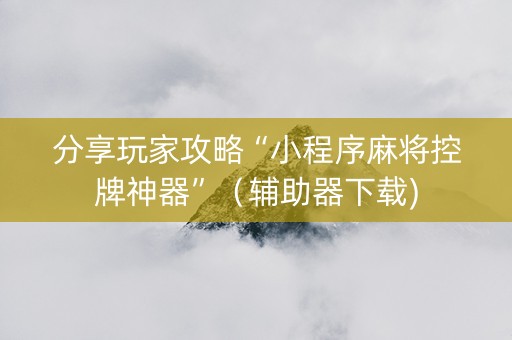 分享玩家攻略“小程序麻将控牌神器”（辅助器下载)