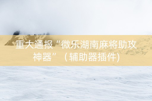 重大通报“微乐湖南麻将助攻神器”（辅助器插件)