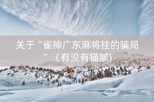 关于“雀神广东麻将挂的骗局”（有没有猫腻)