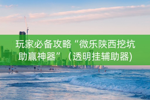 玩家必备攻略“微乐陕西挖坑助赢神器”（透明挂辅助器)