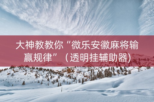 大神教教你“微乐安徽麻将输赢规律”（透明挂辅助器)