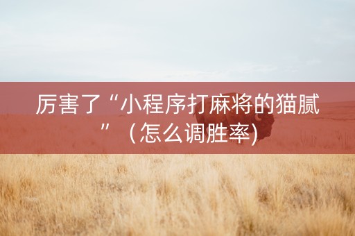 厉害了“小程序打麻将的猫腻”（怎么调胜率)