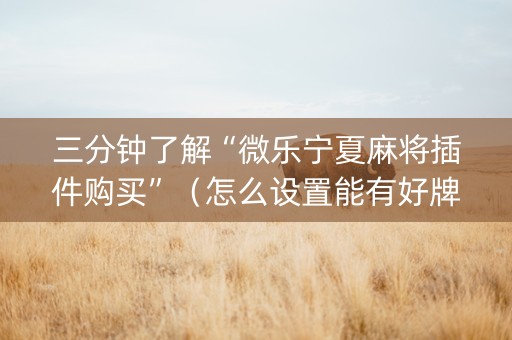 三分钟了解“微乐宁夏麻将插件购买”（怎么设置能有好牌)
