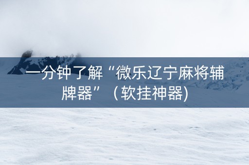 一分钟了解“微乐辽宁麻将辅牌器”（软挂神器)
