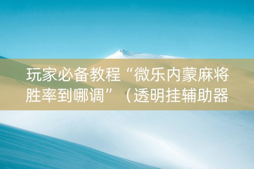 玩家必备教程“微乐内蒙麻将胜率到哪调”（透明挂辅助器)