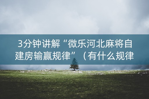 3分钟讲解“微乐河北麻将自建房输赢规律”（有什么规律)