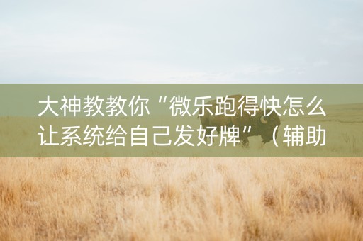大神教教你“微乐跑得快怎么让系统给自己发好牌”（辅助器下载)