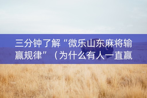 三分钟了解“微乐山东麻将输赢规律”（为什么有人一直赢)