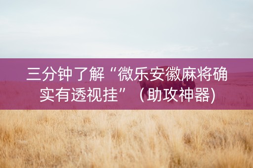 三分钟了解“微乐安徽麻将确实有透视挂”（助攻神器)