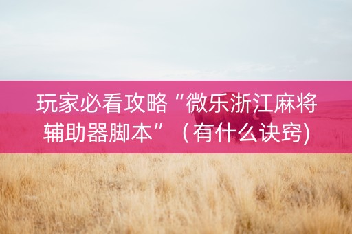 玩家必看攻略“微乐浙江麻将辅助器脚本”（有什么诀窍)