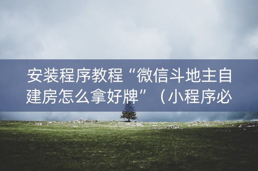 安装程序教程“微信斗地主自建房怎么拿好牌”（小程序必赢神器)
