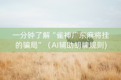 一分钟了解“雀神广东麻将挂的骗局”（AI辅助胡牌规则)