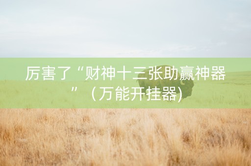 厉害了“财神十三张助赢神器”（万能开挂器)