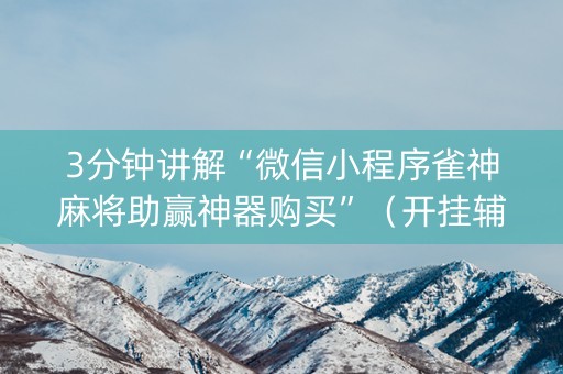 3分钟讲解“微信小程序雀神麻将助赢神器购买”（开挂辅助插件)