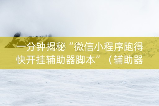 一分钟揭秘“微信小程序跑得快开挂辅助器脚本”（辅助器通用版)