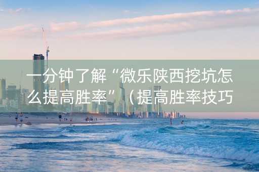 一分钟了解“微乐陕西挖坑怎么提高胜率”（提高胜率技巧)