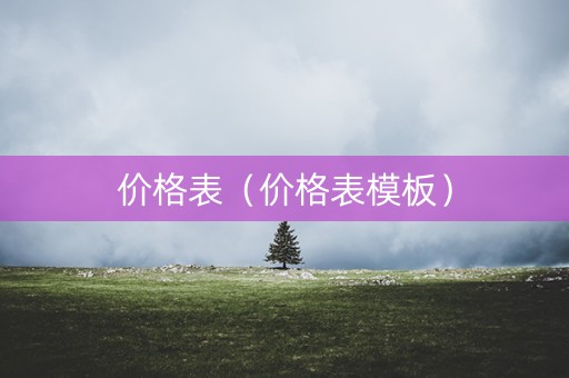 价格表（价格表模板）