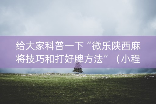给大家科普一下“微乐陕西麻将技巧和打好牌方法”（小程序辅助软件)