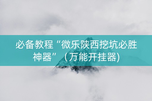 必备教程“微乐陕西挖坑必胜神器”（万能开挂器)