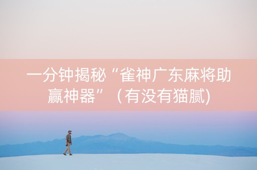 一分钟揭秘“雀神广东麻将助赢神器”（有没有猫腻)