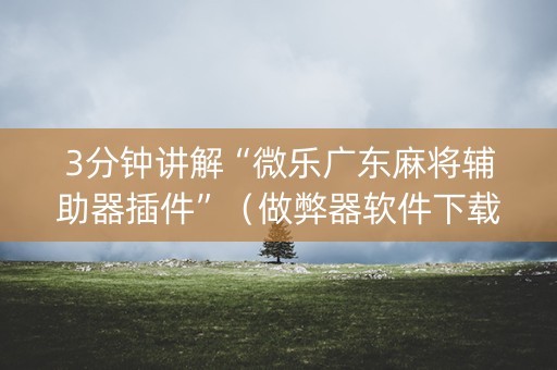 3分钟讲解“微乐广东麻将辅助器插件”（做弊器软件下载)