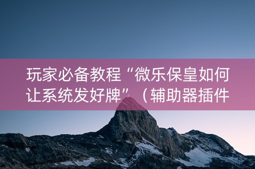 玩家必备教程“微乐保皇如何让系统发好牌”（辅助器插件)
