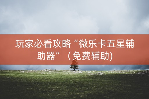 玩家必看攻略“微乐卡五星辅助器”（免费辅助)