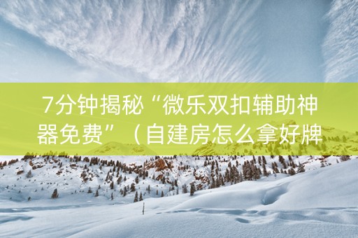7分钟揭秘“微乐双扣辅助神器免费”（自建房怎么拿好牌)