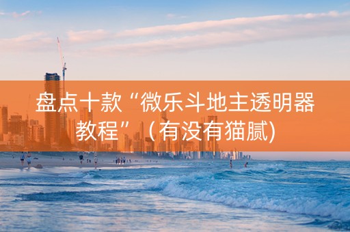 盘点十款“微乐斗地主透明器教程”（有没有猫腻)