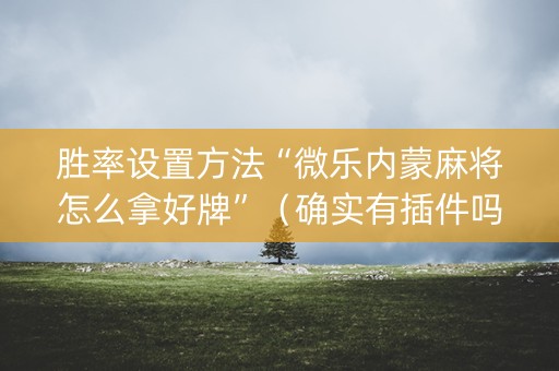 胜率设置方法“微乐内蒙麻将怎么拿好牌”（确实有插件吗)