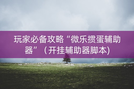 玩家必备攻略“微乐掼蛋辅助器”（开挂辅助器脚本)