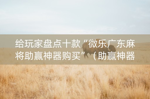 给玩家盘点十款“微乐广东麻将助赢神器购买”（助赢神器购买)