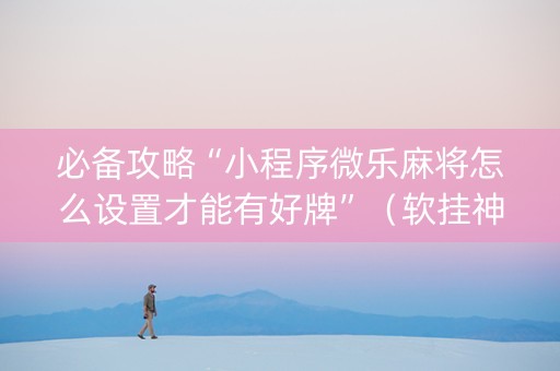 必备攻略“小程序微乐麻将怎么设置才能有好牌”（软挂神器)