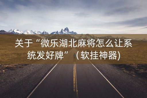 关于“微乐湖北麻将怎么让系统发好牌”（软挂神器)