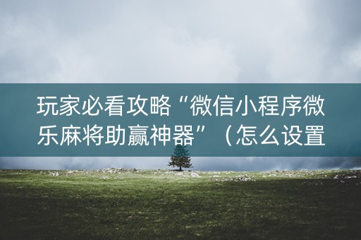 玩家必看攻略“微信小程序微乐麻将助赢神器”（怎么设置能有好牌)