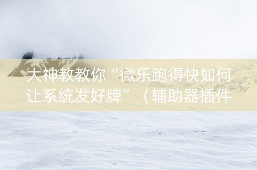 大神教教你“微乐跑得快如何让系统发好牌”（辅助器插件)