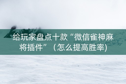 给玩家盘点十款“微信雀神麻将插件”（怎么提高胜率)