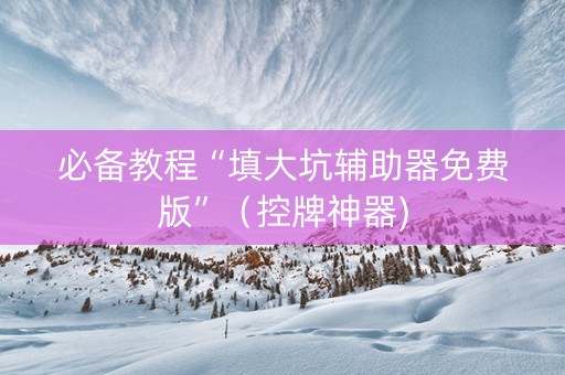 必备教程“填大坑辅助器免费版”（控牌神器)